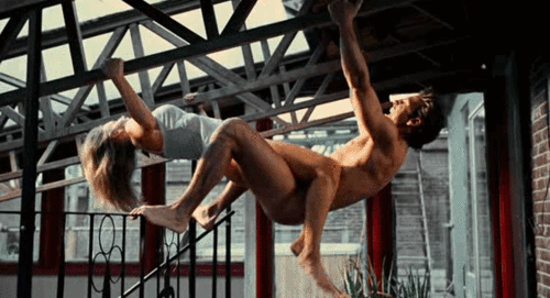 south africa gay huge gay penis tube